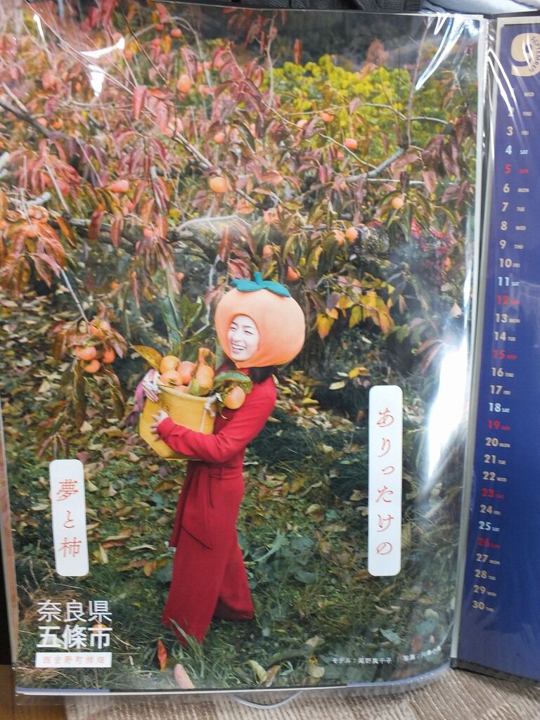 奈良県五條市をpr なおのblog 奈良県五條市をpr なおのblog