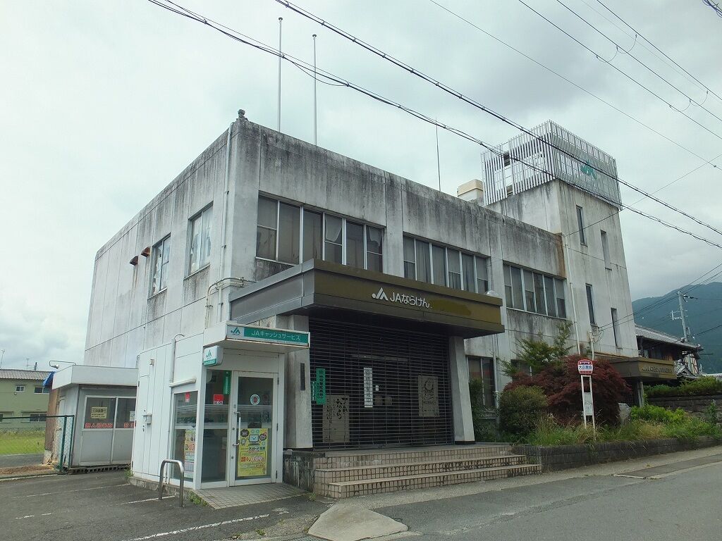 すくってごらん 映画公開決定 なおのblog すくってごらん 映画公開決定 なおのblog