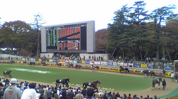 府中のパドック20051120