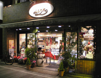 20091206ふじの木
