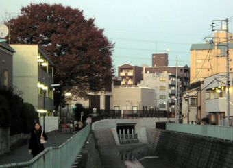 20091206野方取水口02