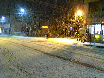 20050225snow