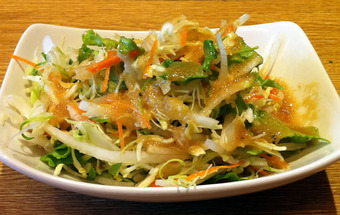 20110130ueno_sarada