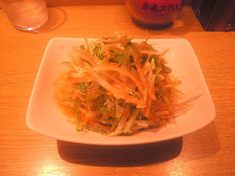 20080802carry_salada