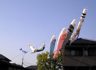 20100501koinobori
