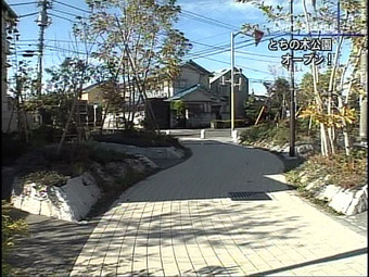 20101122totinokipark05