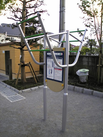 20100424wakamiya_burasagari2