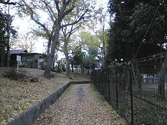 20071208sanpomichi