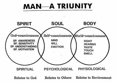 man-trinity