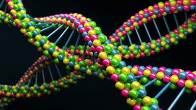 dna-double-helix