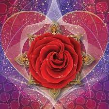 sisterhood-of-the-rose