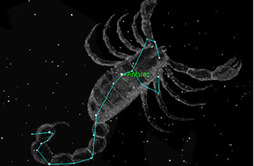 scorpio-costellation