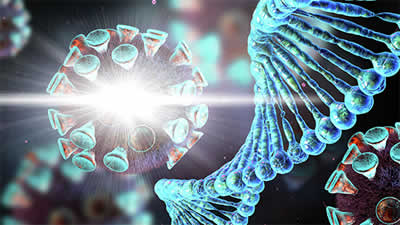 dna-memory-of-viruses