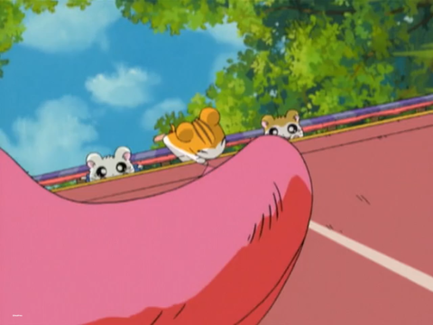 感想 第13話 とっとこ踊るよ トラハムちゃん サゴナナ雑駄弁り