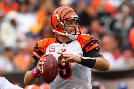 carsonpalmer