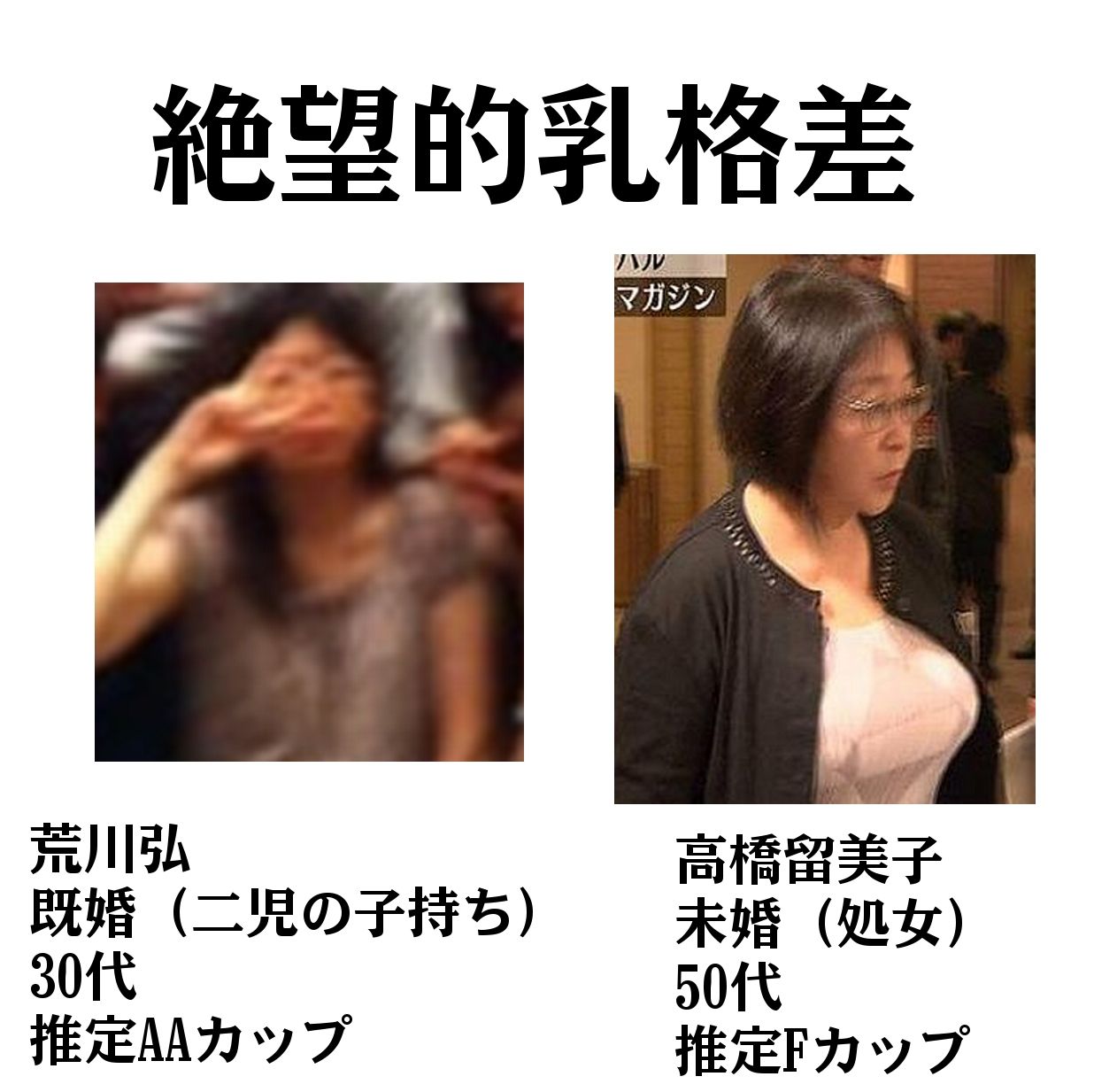 乳比べ 高橋留美子vs荒川弘 一発レス置場 乳比べ 高橋留美子vs荒川弘 一発レス置場
