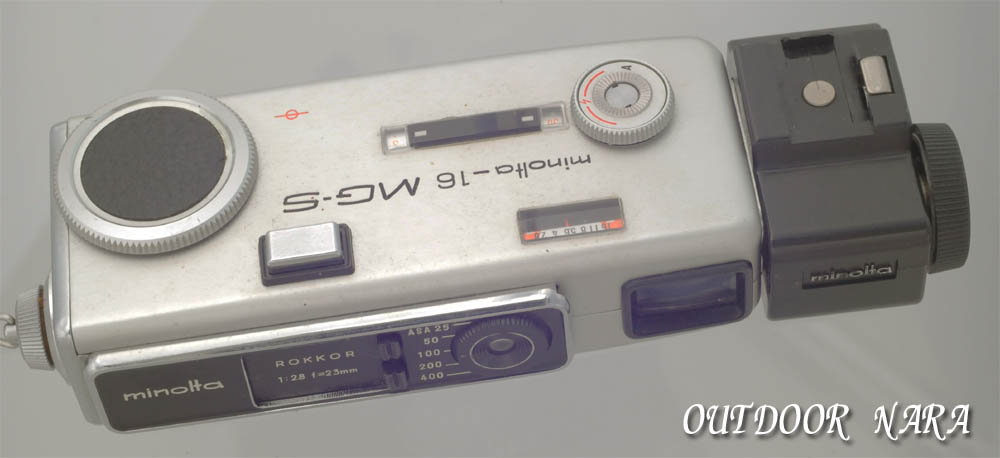ミノルタ-16MG-S : 佐保川のカワセミ