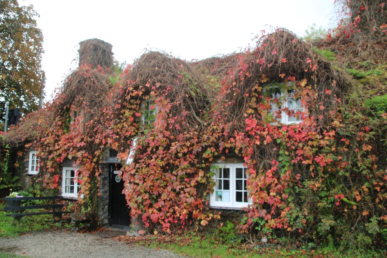 Tu Hwnt I L Bont カフェ ギャラリーへ カルトナージュとアンティークと黒柴な日々