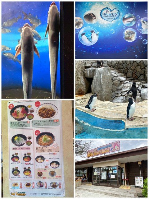 油壷1