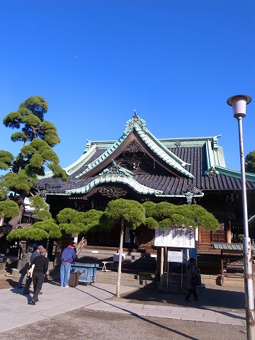 来来来