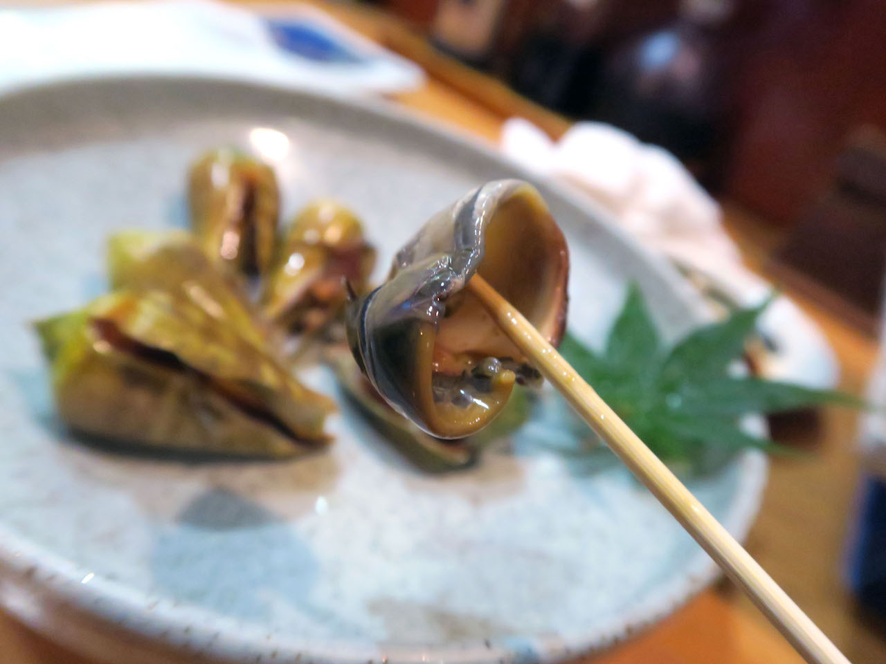 店内の水槽にワクワク もぐり漁師がすすめる海鮮居酒屋 熊本 天草海士宴 美食磁石 Powered By ライブドアブログ 店内の水槽にワクワク もぐり漁師がすすめる海鮮居酒屋 熊本 天草海士宴 美食磁石 Powered By ライブドアブログ