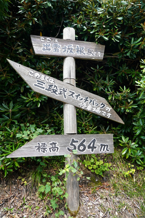 DSC02247