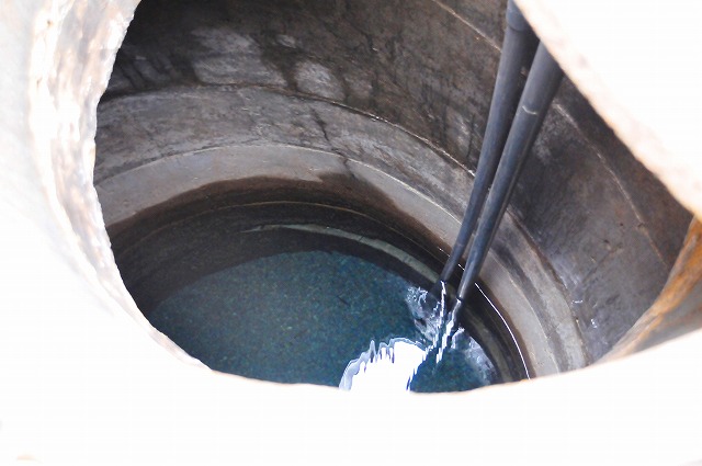 379e7975.jpg