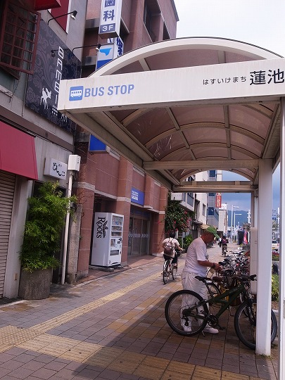 高知どんこ
