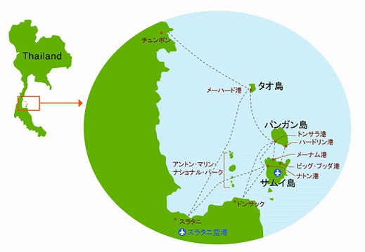 77652851.jpg