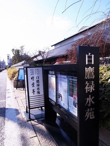 白鷹
