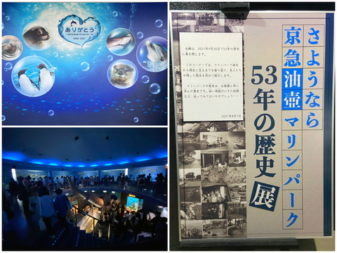 油壷2
