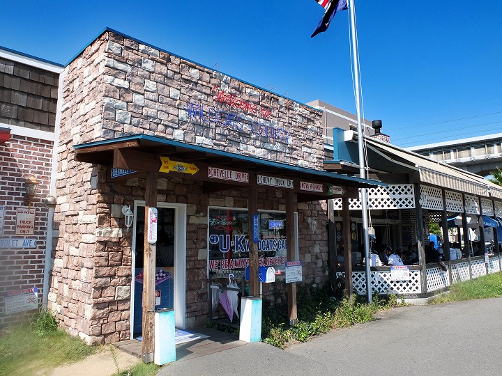 a383b07c.jpg