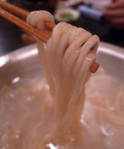 だいきうどん×スタノア