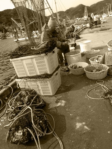 日生牡蠣