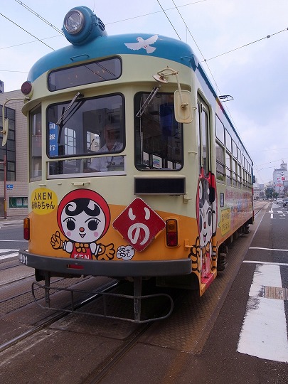 高知どんこ