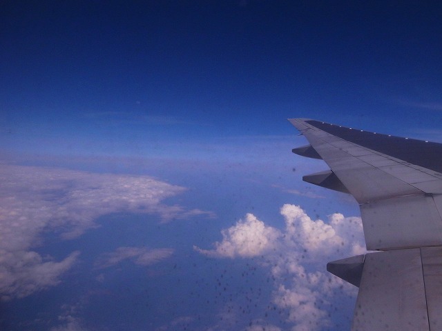 fc003d9f.jpg