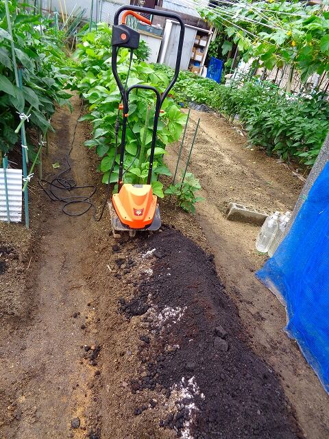 秋大根 用の畝作りを行いました 我が家で家庭菜園を楽しむ 秋大根 用の畝作りを行いました 我が家で家庭菜園を楽しむ