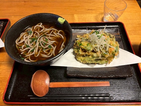 LINE_ALBUM_八乙女館巡検_250330_28
