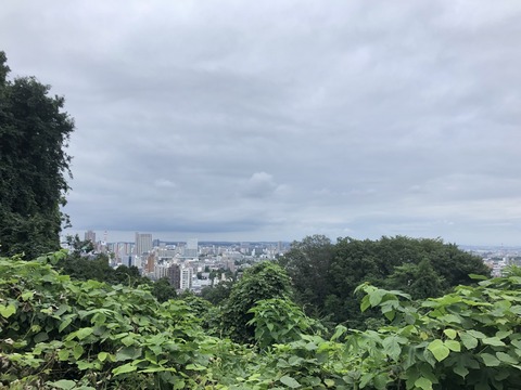 大年寺山から望む仙台市街