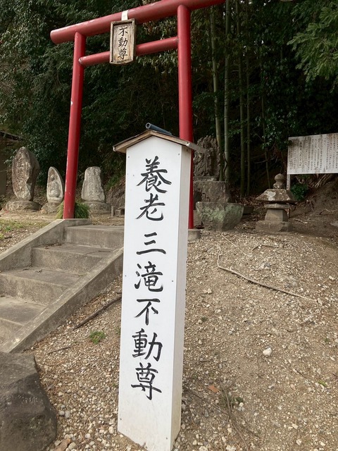 LINE_ALBUM_八乙女館巡検_250330_54