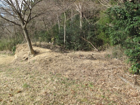 LINE_ALBUM_八乙女館巡検_250330_71