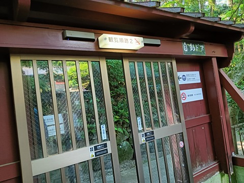 IMG20260613151023