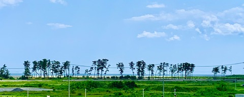 IMG_5139