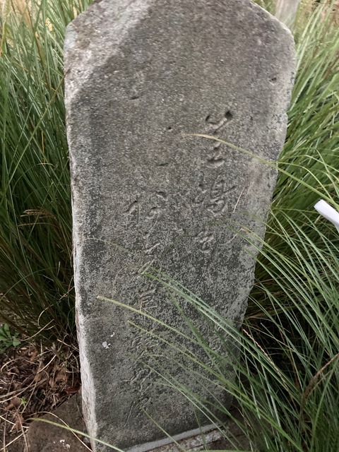 image0 (3)