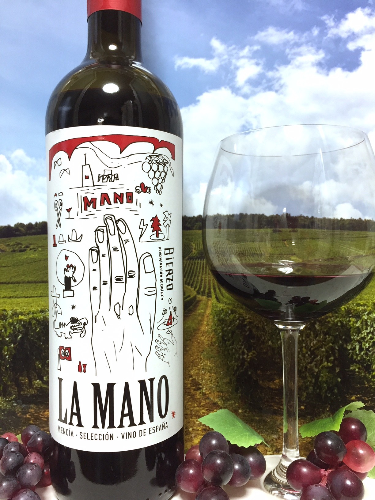 La Mano Mencia Seleccion D O Bierzo 15 Red Red Wine 偉いワイン 探しの備忘録