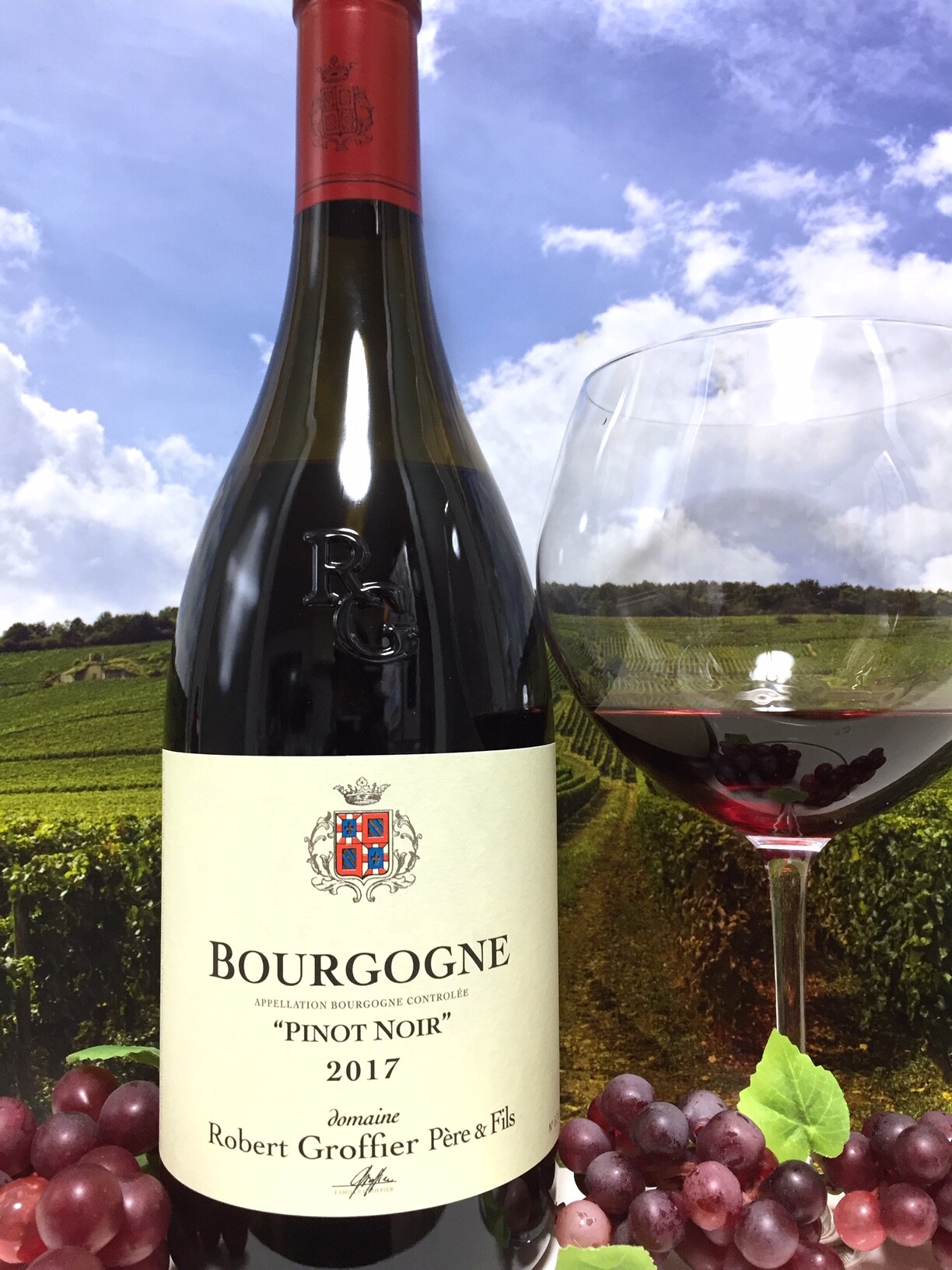 Domaine Robert Groffier Père & Fils Bourgogne “Pinot Noir” 2017