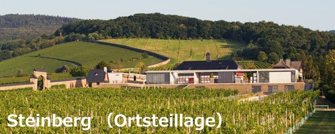 Steinberg01