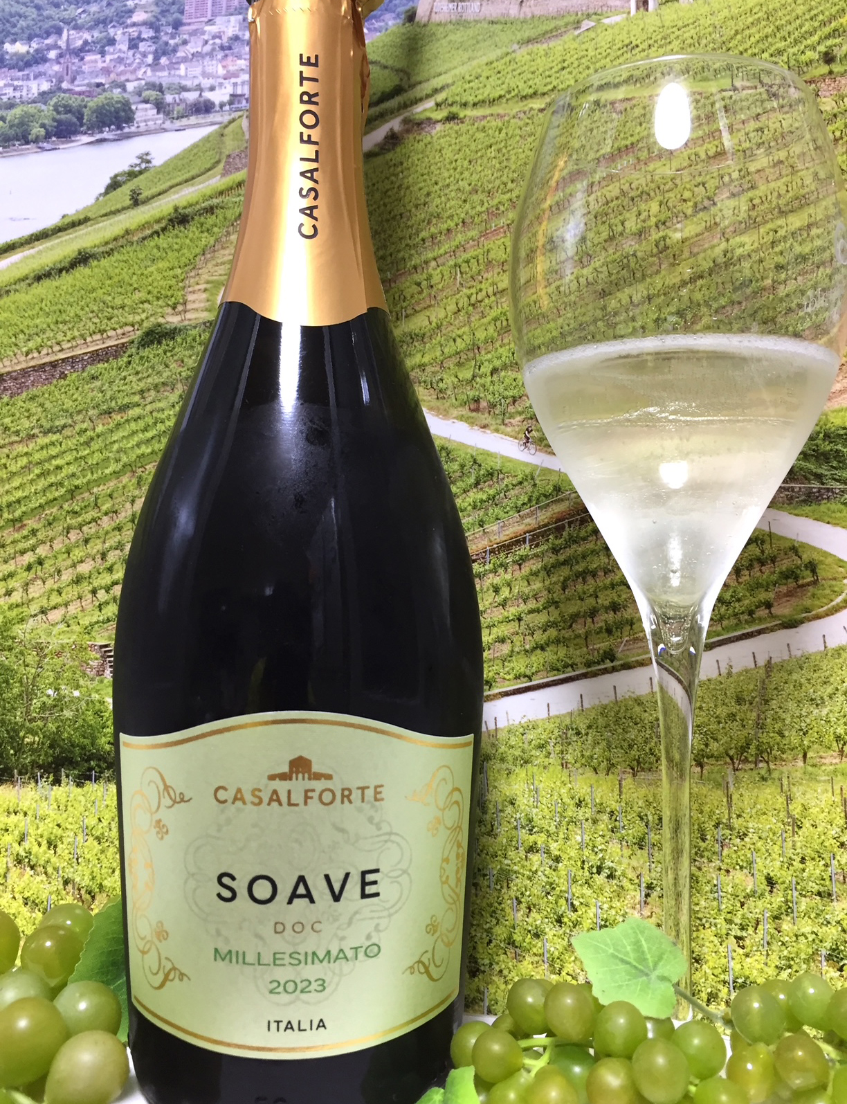Casalforte Soave Brut Millesimato 2023 : Red Red Wine：「偉い