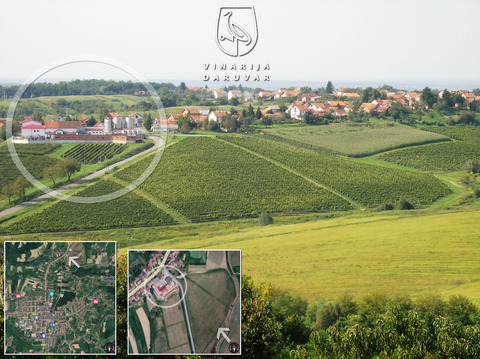 Vinarija-Daruvar