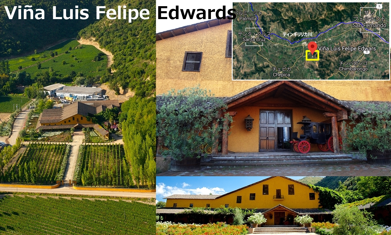 Luis Felipe Edwards Chardonnay Reserva 16 Red Red Wine 偉いワイン 探しの備忘録 Luis Felipe Edwards Chardonnay Reserva 16 Red Red Wine 偉いワイン 探しの備忘録